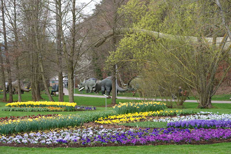 Kaiserslautern Gartenschau 2019 (Foto: Holger Knecht)