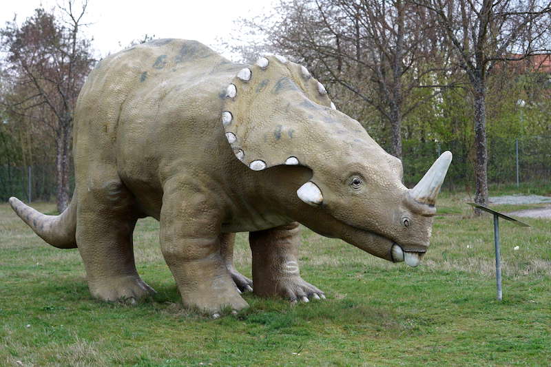 Kaiserslautern Gartenschau 2019 (Foto: Reinhard Schnell)
