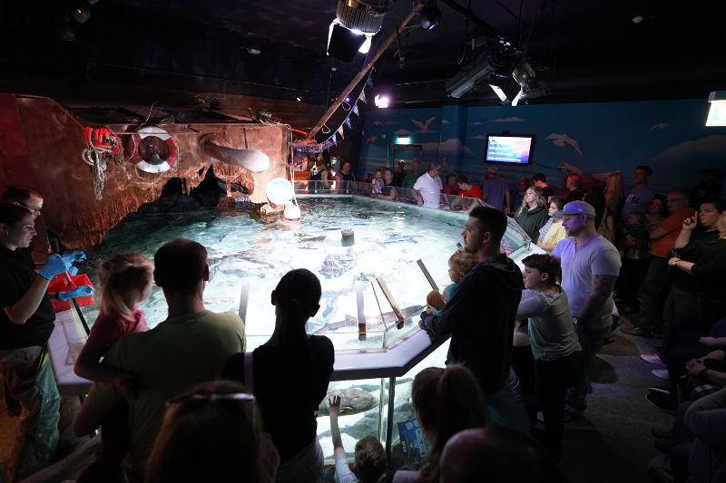 SEA LIFE SPEYER (Foto: Reinhard Schnell)