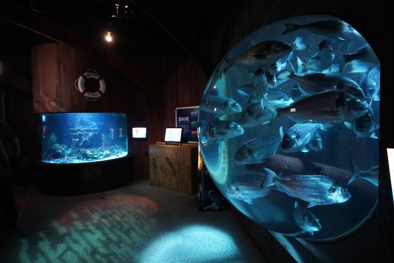 SEA LIFE SPEYER (Foto: Reinhard Schnell)