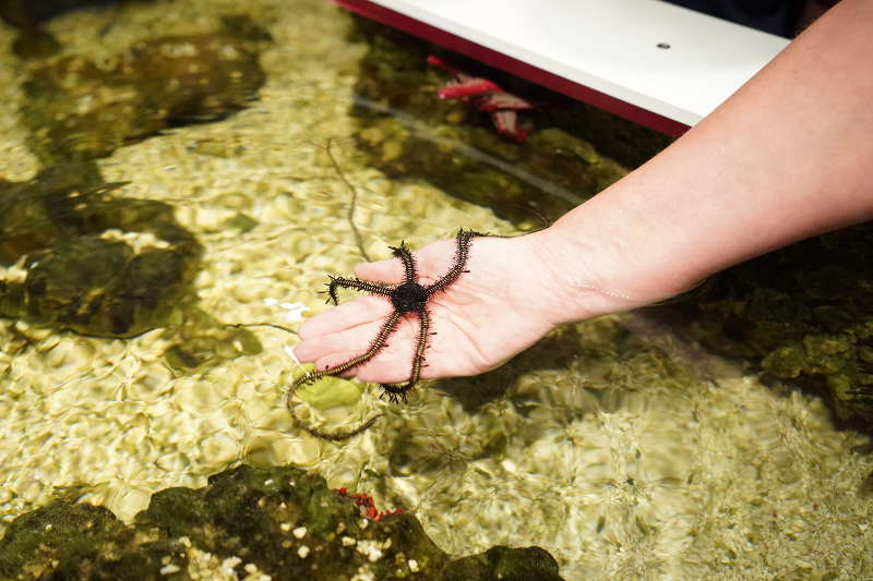 SEA LIFE SPEYER (Foto: Reinhard Schnell)