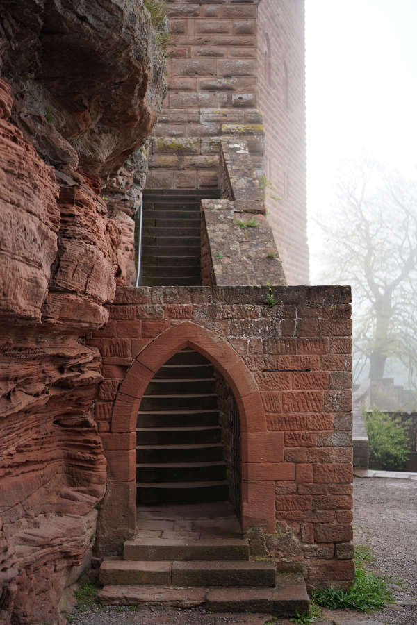 Annweiler Trifels Reichsburg (Foto: Holger Knecht)