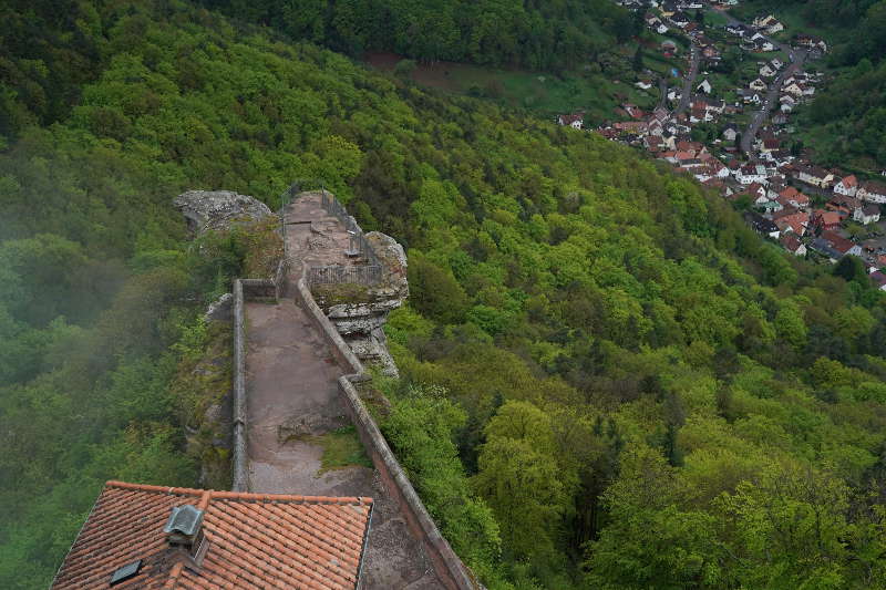 Annweiler Trifels Reichsburg (Foto: Holger Knecht)