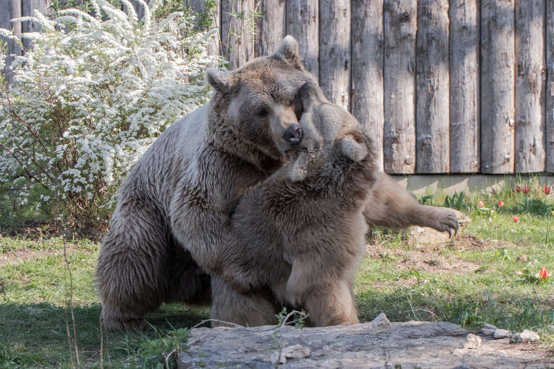 Ronja und Martin (v.l.) (Foto: Susi Fischer)