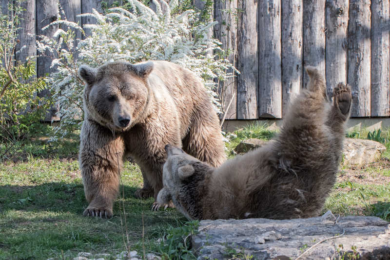 Ronja und Martin (v.l.) (Foto: Susi Fischer)