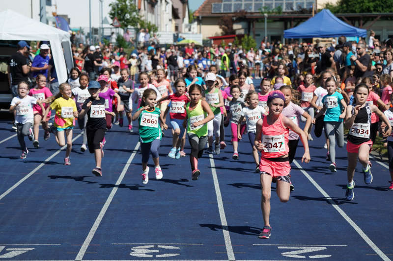 Schülerlauf Mädchen (Foto: Reinhard Schnell, Metropolnews)