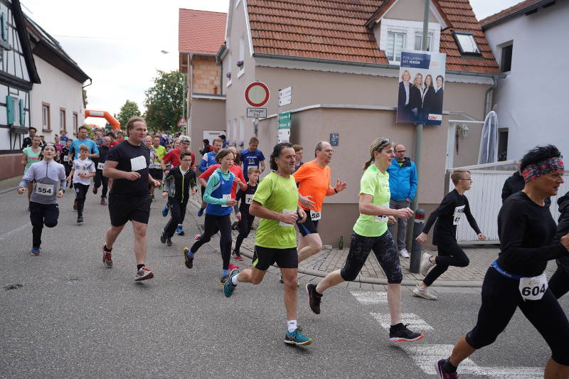 Landau Dammheim Energie Südwest Cup 2019 (Foto: Reinhard Schnell)