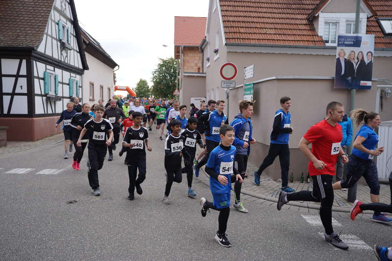 Landau Dammheim Energie Südwest Cup 2019 (Foto: Reinhard Schnell)