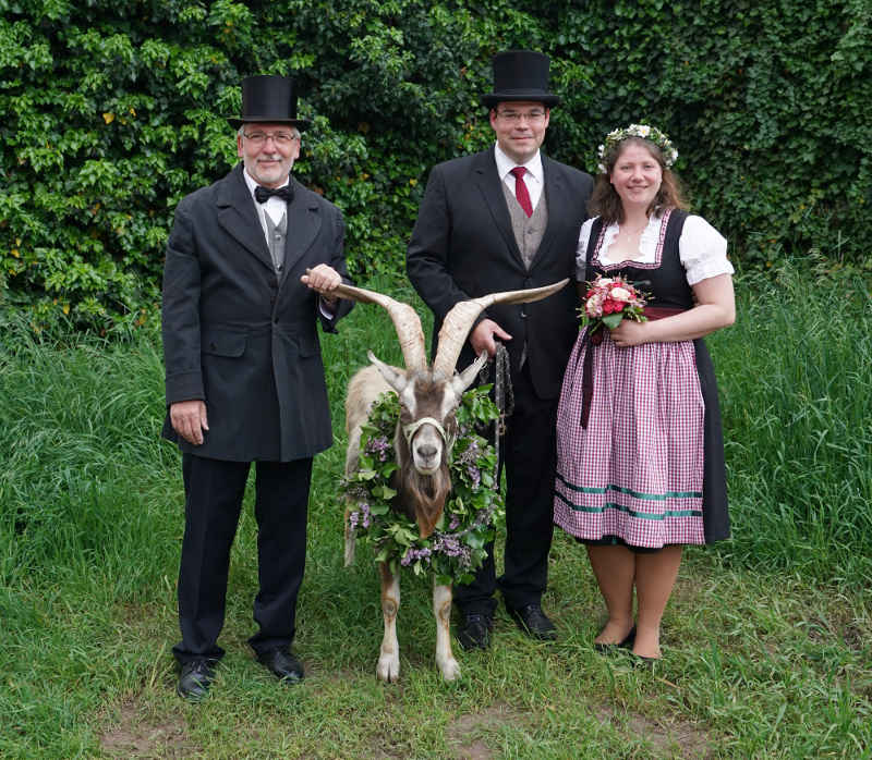 Lambrecht Pfingsten Tributbock (Foto: Reinhard Schnell)
