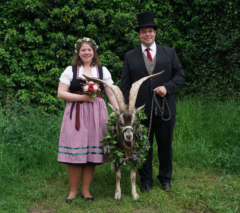 Lambrecht Pfingsten Tributbock (Foto: Reinhard Schnell)