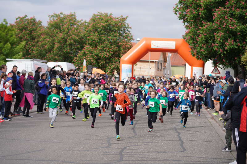 Landau Dammheim Energie Südwest Cup 2019 (Foto: Reinhard Schnell)