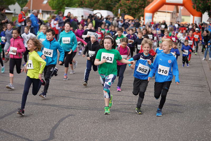 Landau Dammheim Energie Südwest Cup 2019 (Foto: Reinhard Schnell)
