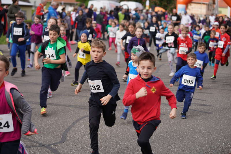 Landau Dammheim Energie Südwest Cup 2019 (Foto: Reinhard Schnell)