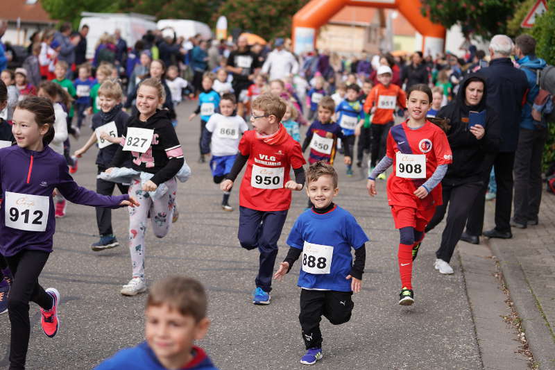 Landau Dammheim Energie Südwest Cup 2019 (Foto: Reinhard Schnell)