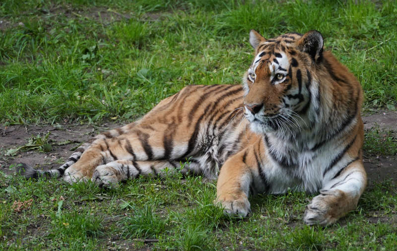 Landau Zoo (Foto: Holger Knecht)