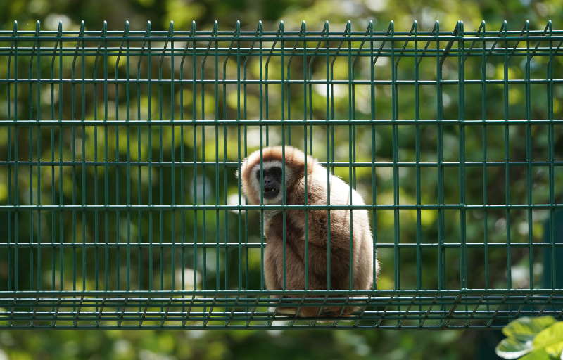 Landau Zoo (Foto: Holger Knecht)