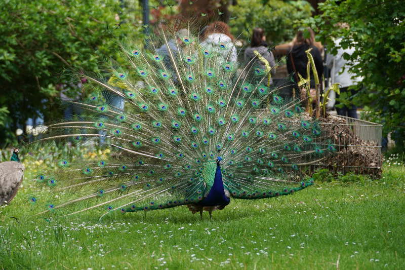 Landau Zoo (Foto: Holger Knecht)