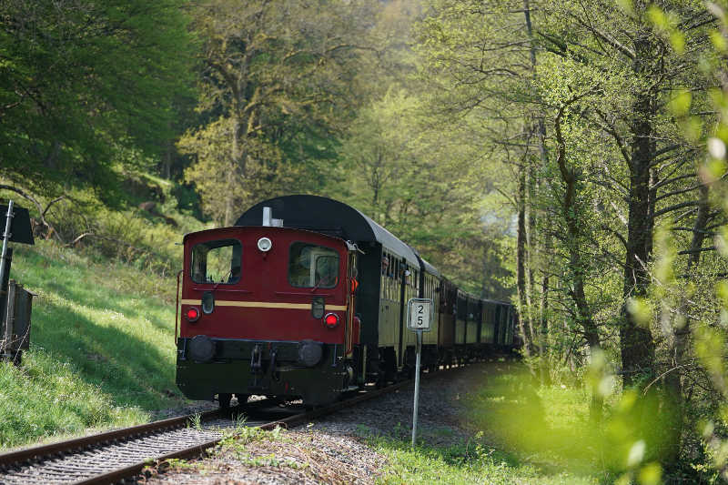 Die historische Dampfeisenbahn 'Kuckucksbähnel' (Foto: Reinhard Schnell)