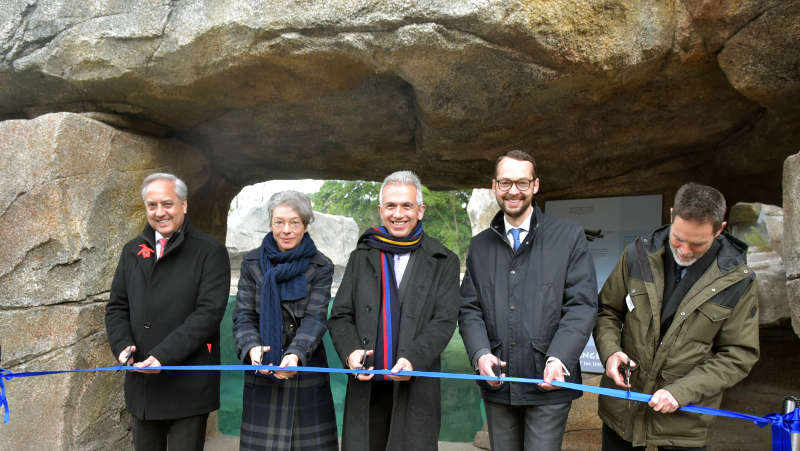 Generalkonsul Luis Escalante Schuler, Generalkonsulat Peru, Stadträtin Dr. Ina Hartwig, Dezernat Kultur und Wissenschaft, Oberbürgermeister Peter Feldmann, Stadtrat Jan Scheider, Dezernat Bau und Immobilien und Zoodirektor Dr. Miguel Casares eröffnen die Pinguin-Anlage (Foto: Bernd Kammerer)