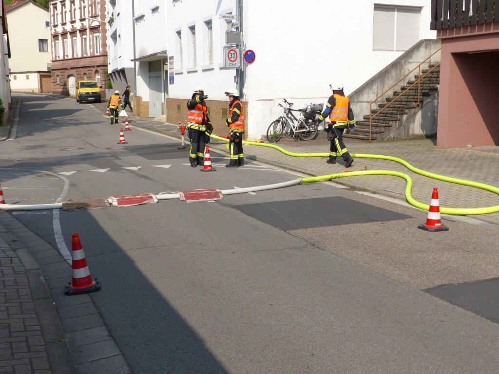 Verlegen von Schlauchbrücken (Foto: Feuerwehr Neustadt)