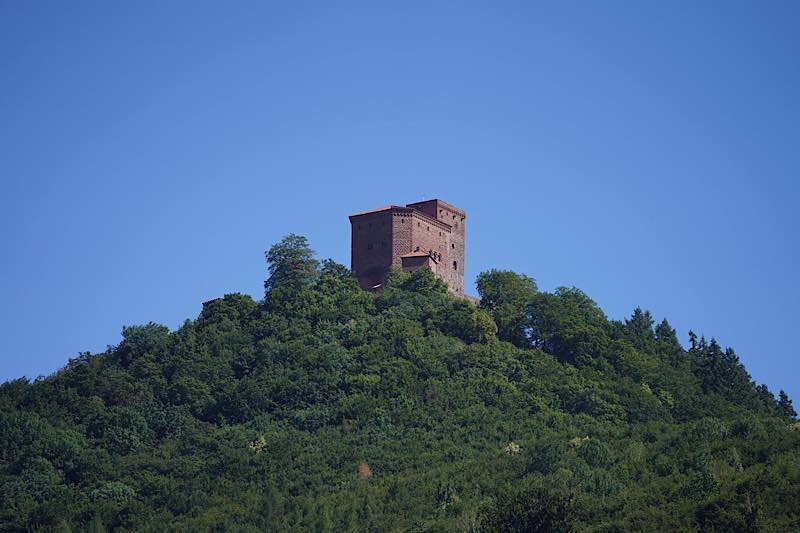 Annweiler RLP-Tag 2019 (Foto: Holger Knecht)