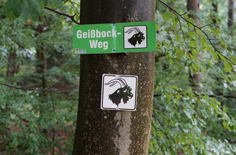 Lambrecht Deidesheim Geißbock 2019 (Foto: Reinhard Schnell)