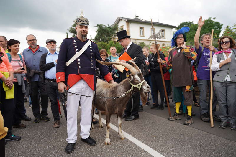 Lambrecht Deidesheim Geißbock 2019 (Foto: Reinhard Schnell)