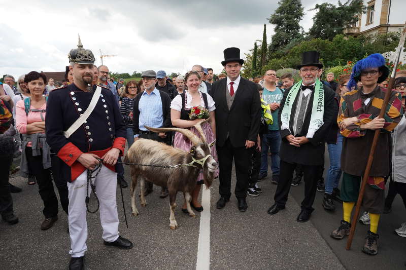Lambrecht Deidesheim Geißbock 2019 (Foto: Reinhard Schnell)