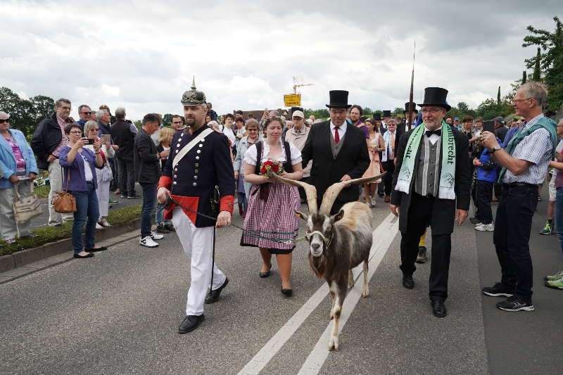 Lambrecht Deidesheim Geißbock 2019 (Foto: Reinhard Schnell)