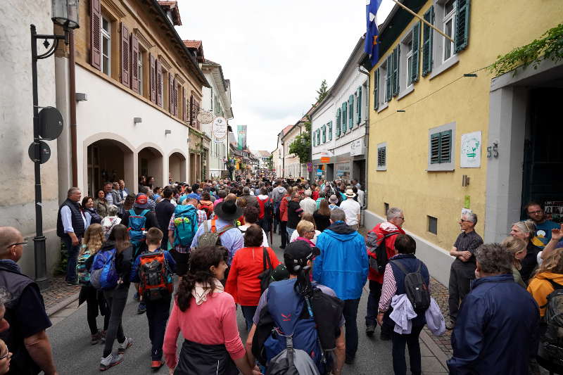 Lambrecht Deidesheim Geißbock 2019 (Foto: Reinhard Schnell)