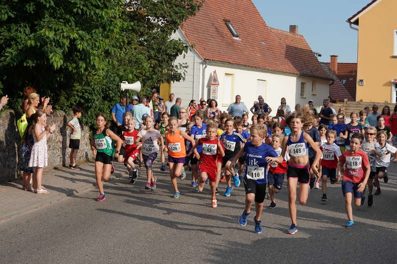 Gommersheim Gäulauf 2019 (Foto: Reinhard Schnell)