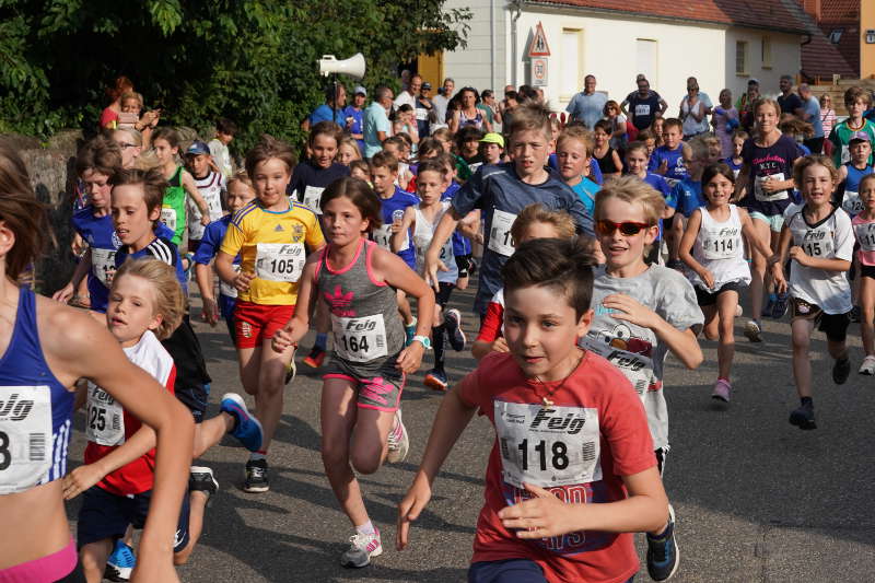 Gommersheim Gäulauf 2019 (Foto: Reinhard Schnell)
