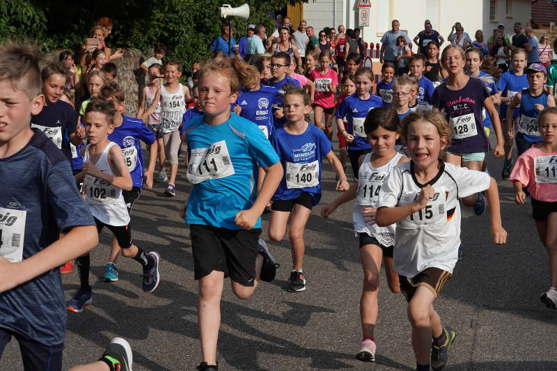Gommersheim Gäulauf 2019 (Foto: Reinhard Schnell)