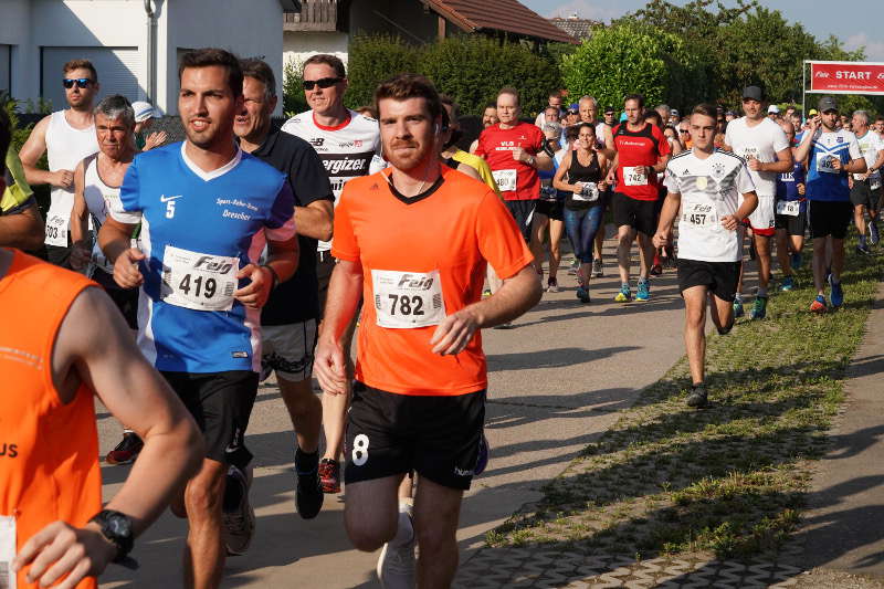 Gommersheim Gäulauf 2019 (Foto: Reinhard Schnell)