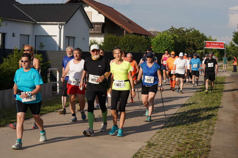 Gommersheim Gäulauf 2019 (Foto: Reinhard Schnell)