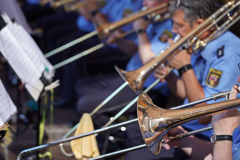 Annweiler Rheinland-Pfalz-Tag 2019 (Foto: Holger Knecht)