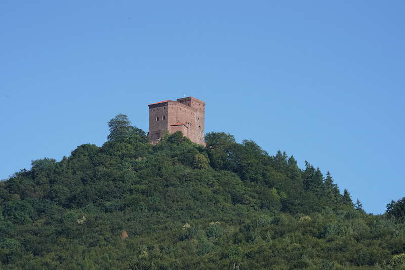 Annweiler Rheinland-Pfalz-Tag 2019 (Foto: Holger Knecht)