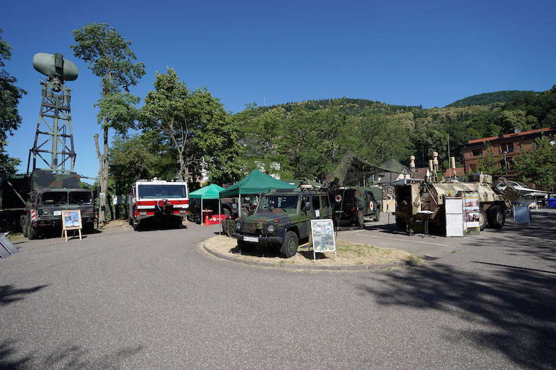 Annweiler Rheinland-Pfalz-Tag 2019 (Foto: Holger Knecht)