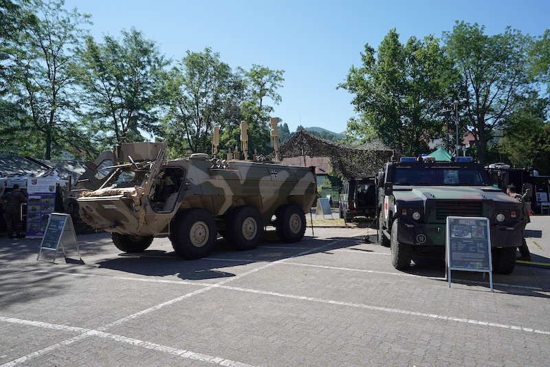 Annweiler Rheinland-Pfalz-Tag 2019 (Foto: Holger Knecht)