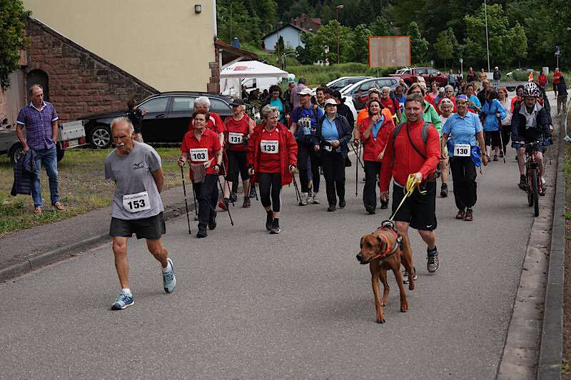 Frankenstein Abendvolkslauf 2019 (Foto: Holger Knecht)