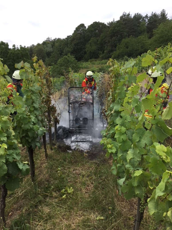 Reste des Weinbergraupenfahrzeuges (Foto: Polizei RLP)