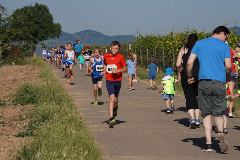 Landau Energie-Südwest-Cup 2019 Nußdorf (Foto: Reinhard Schnell)