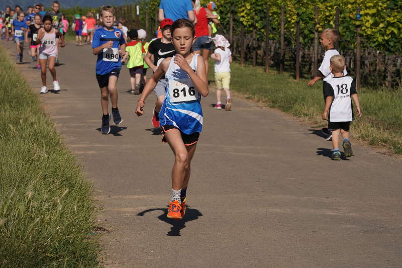 Landau Energie-Südwest-Cup 2019 Nußdorf (Foto: Reinhard Schnell)