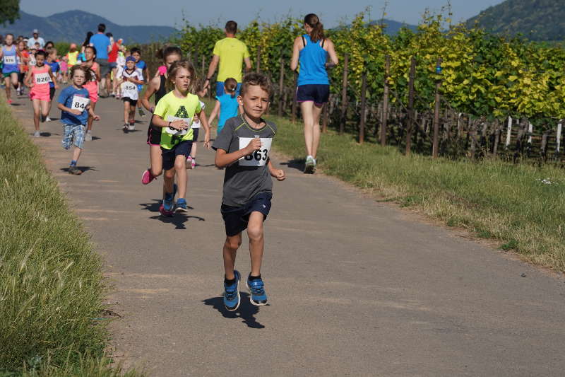 Landau Energie-Südwest-Cup 2019 Nußdorf (Foto: Holger Knecht)