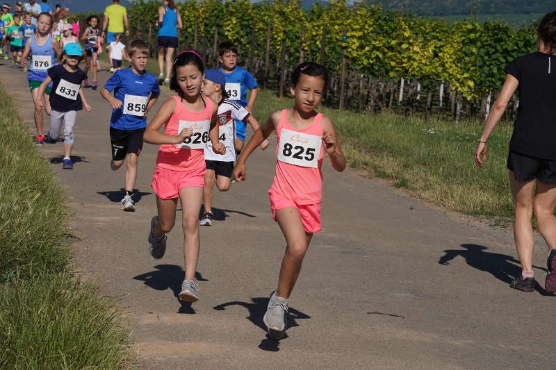Landau Energie-Südwest-Cup 2019 Nußdorf (Foto: Reinhard Schnell)