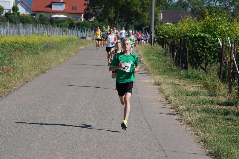 Landau Energie-Südwest-Cup 2019 Nußdorf (Foto: Holger Knecht)