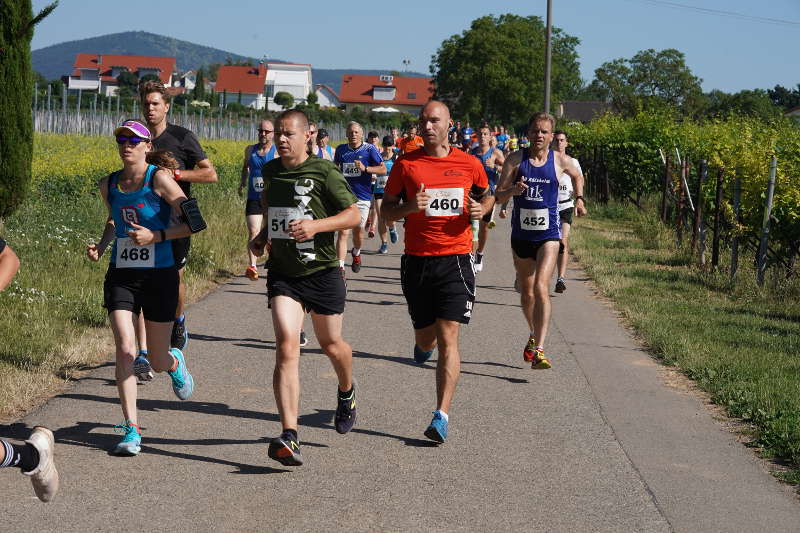 Landau Energie-Südwest-Cup 2019 Nußdorf (Foto: Holger Knecht)