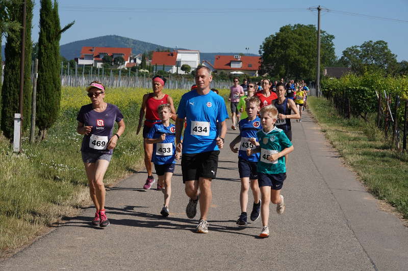 Landau Energie-Südwest-Cup 2019 Nußdorf (Foto: Reinhard Schnell)