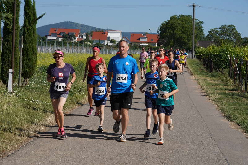 Landau Energie-Südwest-Cup 2019 Nußdorf (Foto: Holger Knecht)