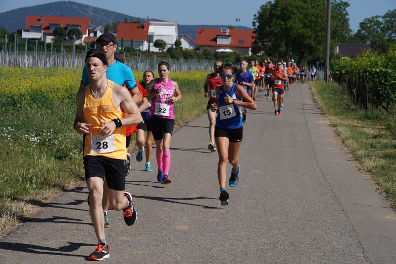 Landau Energie-Südwest-Cup 2019 Nußdorf (Foto: Reinhard Schnell)